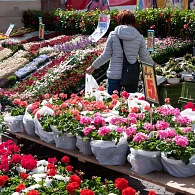 Blumenhändler am Maiensonntag 2024 © Stadt Rhede