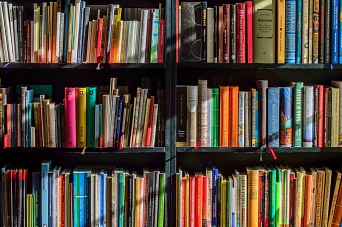 Bibliotheken und Büchereien dürfen in Zeiten vom Coronavirus nicht öffnen. Es gibt aber online viele Alternativen. © pixabay