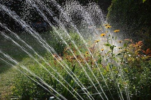 Gartenbewässerung © pixabay