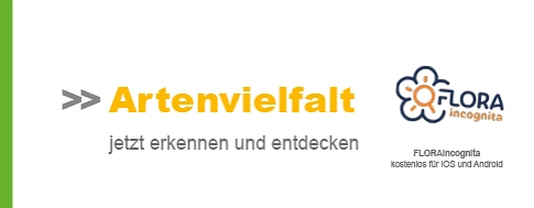 Systemblock Arten erkennen FLORAincognita