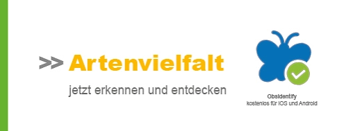 Systemblock Arten erkennen ObsIdentify